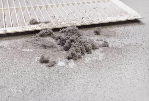 Best Affordable HVAC Duct Cleaning  in Trinity, NC
