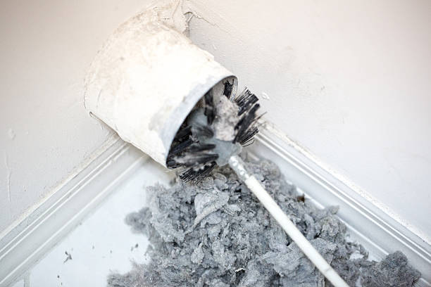 Air Duct Mold Removal in Trinity, NC